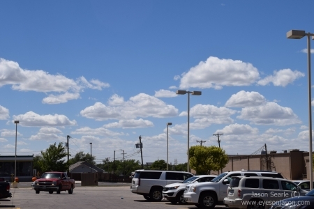 Cumulus field in Dumas