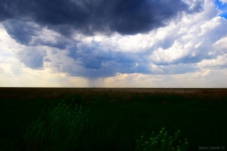 Dying Early Cell in Leoti, Kansas