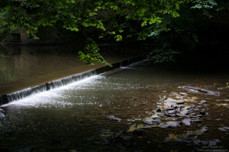 The River Frome, running through Snuff Mills