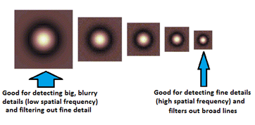 5 squares with circles inside all differ in size to demonstrate how large LoG Operators are good at detecting low spatial frequencies and the smaller LoG Operators are best at detecting high spacial frequencies.