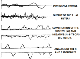 Several graphs demonstrating how the MIRAGE Model utilises LoG Operators.