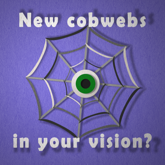 A craft paper scene of a cobweb with an eyeball in the centre. The words 