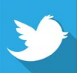 Twitter Badge