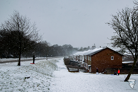 Snow along Shire Way, Yate