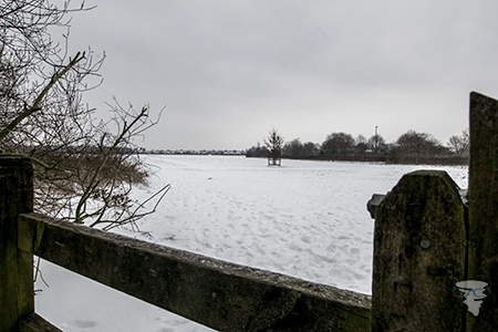 Westerleigh Common in the snow