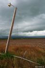 Lamp Post Awaiting the Storm