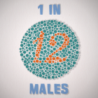 1 In 12 Males
