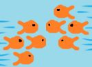 two shoals of fish swimming in opposite direction. Two separate entities are distinguishable as all members of the same group are swimming in the same direction