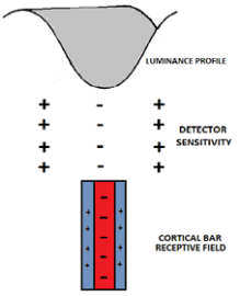 A diagram demonstrating the valley detectors