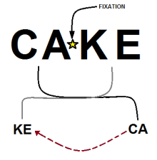 The word "CAKE" with a star in the centre of the word indicating a person's fixation. Then lines coming from it splitting the word into "KE" and "CA" to indicate the fovea being split into both hemispheres.