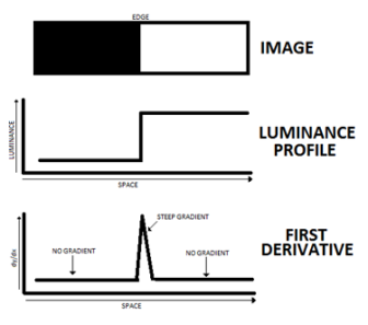 Graphs demonstrating edge profiles and their first derivative