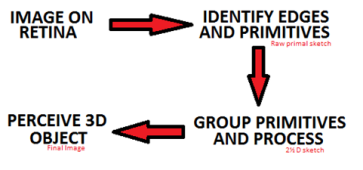 A flow chart of the Marr-Hildreth Computational Model - described in the text