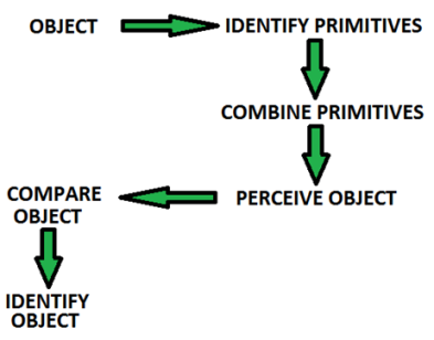 A flow chart demonstrating the stages of Treisman's Feature Integration Theory (described in the text)