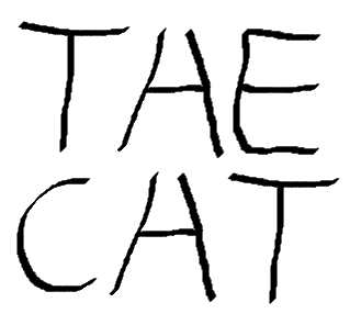 A drawing of the word "The Cat" but the H of the word THE is the same as the A of the word CAT